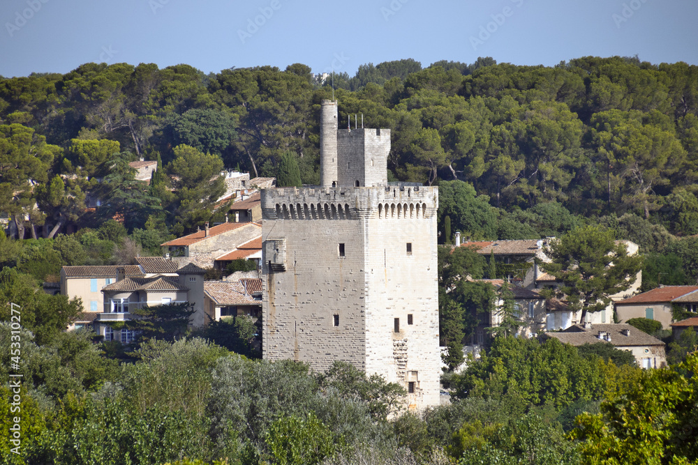 la Tour Philippe-le-Bel près du Rhône
