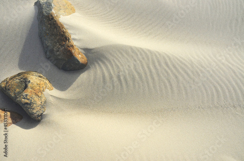 Wallpaper Mural Closeup shot of two rocks in seashore sand under the sunlight