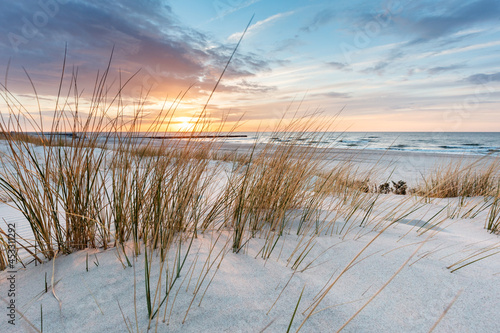 Print op canvas Beach grass on dune, Baltic sea at sunset