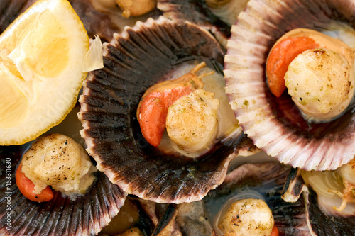 Close-up shot of some scallops cooked on a white plate photo