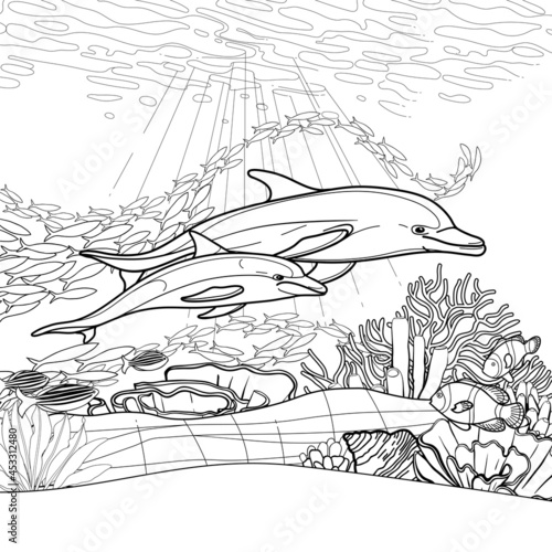 Photography Underwater scene of graphic dolphins over the sandy ocean bottom with coral reef