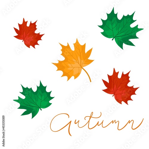 Vector set of autumn icons for any design with maple laeves