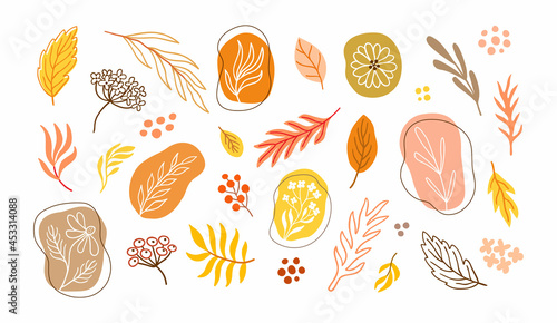 Autumnal minimalistic floral set of leaves, flowers and branches. Abstract fall winter clipart graphic collection. Use for branding, logo design, social network avatars. EPS 10 vector illustration.