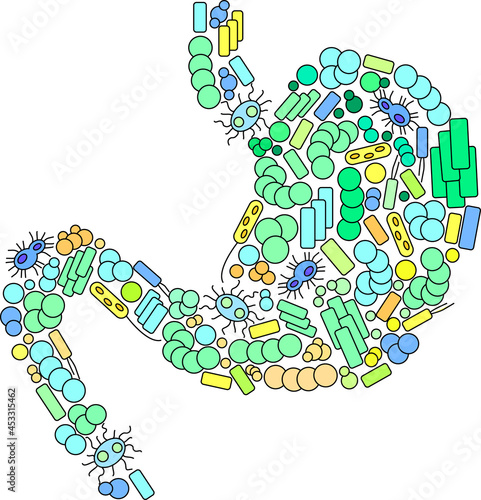 Stomach shaped out of microorganisms