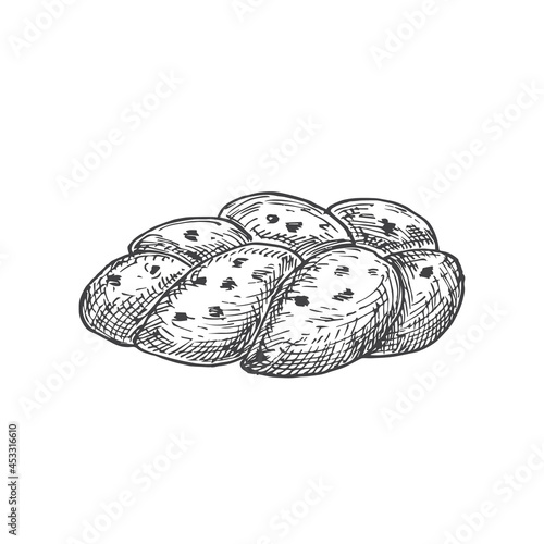 Vector Bakery Sketch. Hand Drawn Illustration of Challa Bread. Isolated
