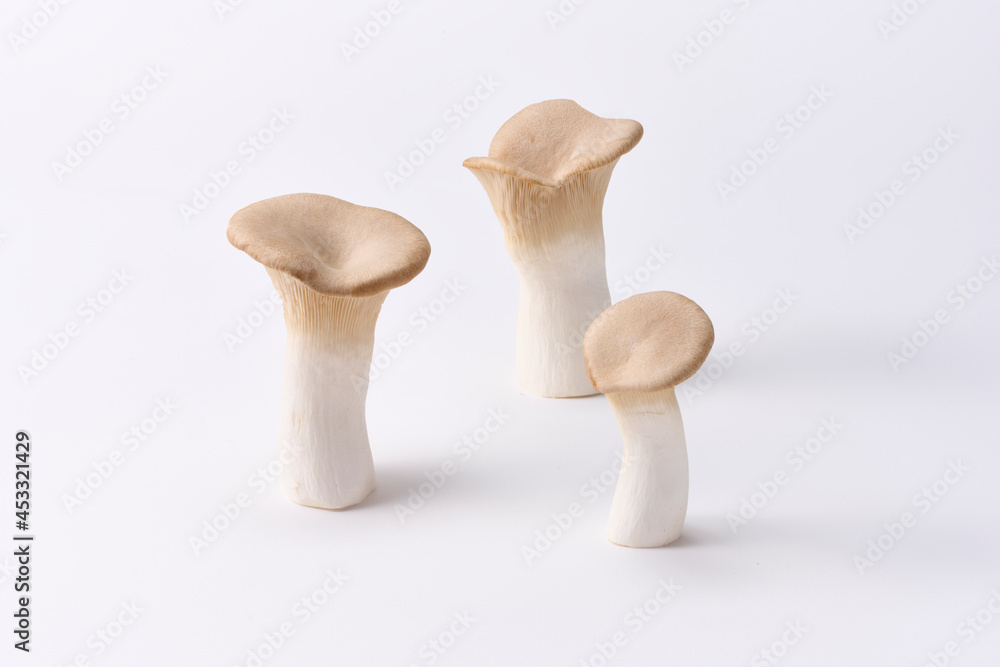 エリンギ, ,茸, 野菜, 食材, 白バック