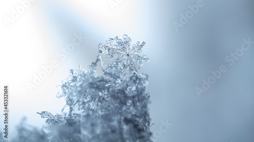 Snow in winter close-up. Macro image of snowflakes, winter holiday background. 