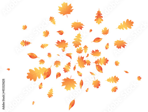Autumn leaves flying composition. Fall maple background. October foliage frame. Oak leaf decor september poster. Orange plant. Thanksgiving day card. Harvest party invitation. Vector illustration