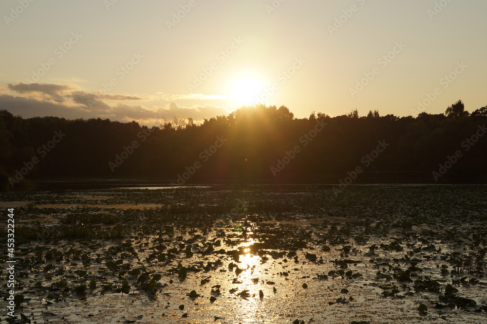 Naklejka premium sunrise over the river