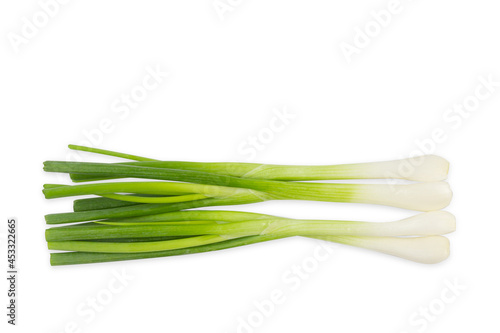 Spring green onion isolated on white background.