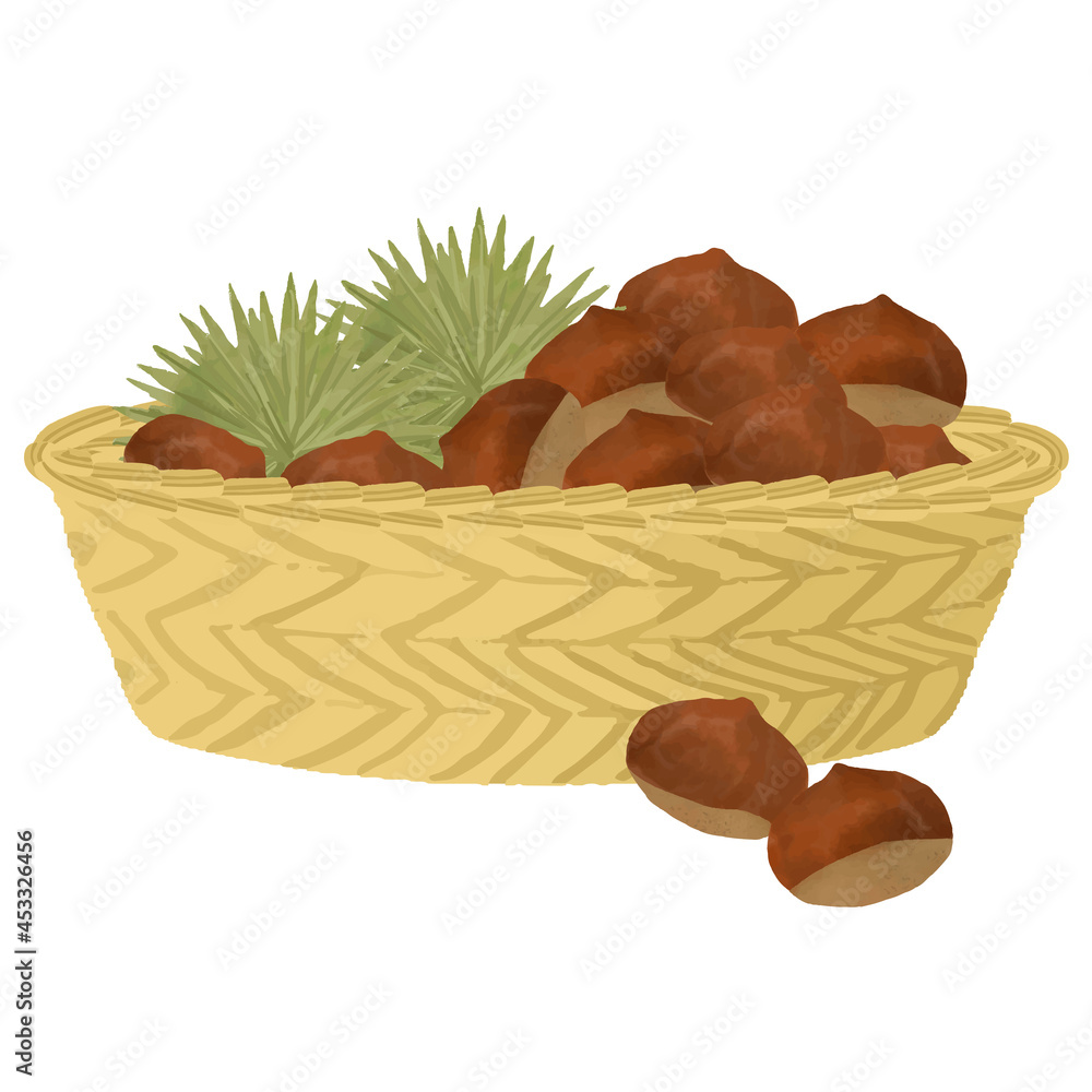 秋の味覚 いがつき栗のカゴ盛りベクターイラスト 