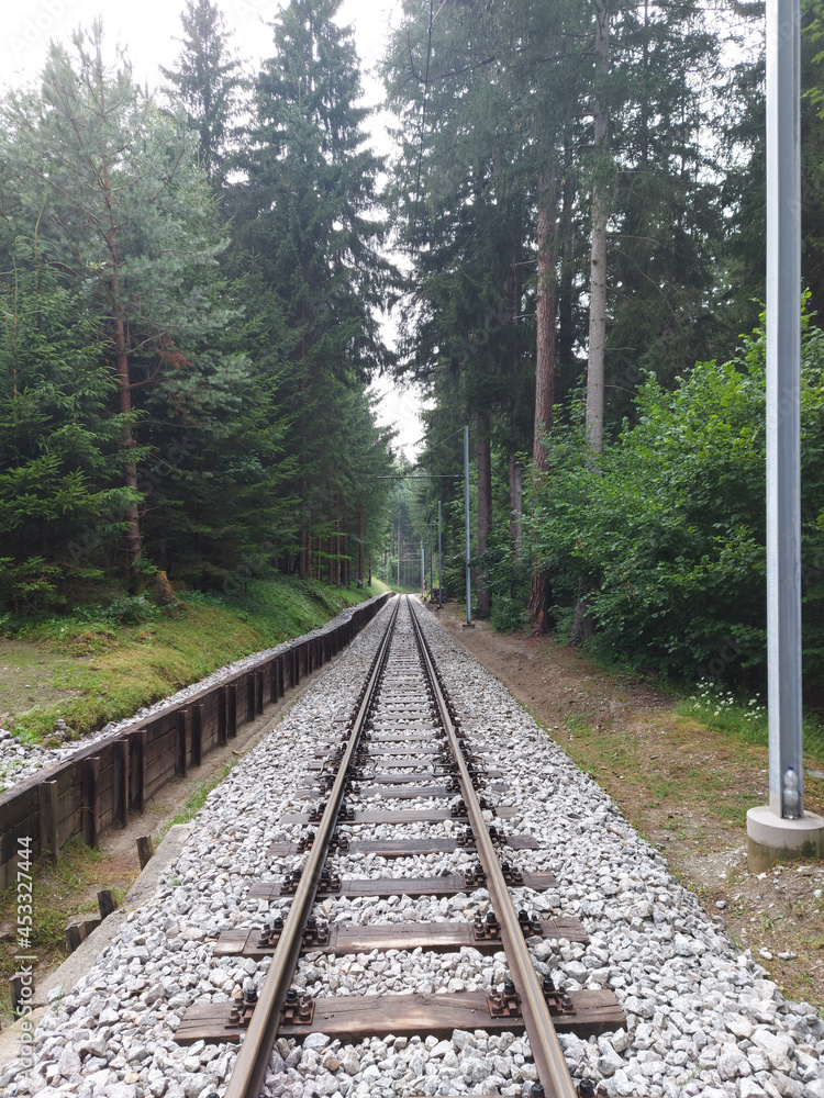 Fototapeta premium Bahnschienen im Wald 2