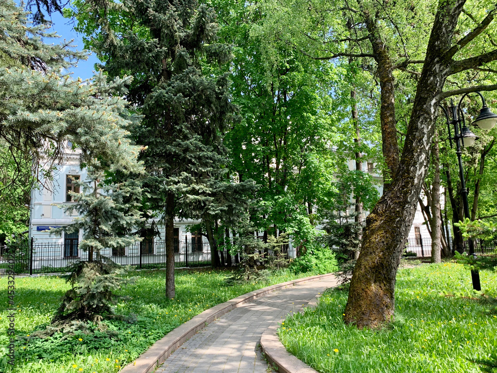 Vorovsky Park in summer. Voykovsky district. The city of Moscow