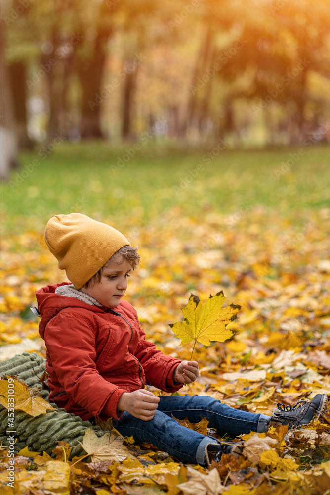 Sitting on the ground cute little blond baby boy having fun outdoors in the park in autumn time in the foliage under a tree in an autumn warm red color jacket and a cute yellow hat. Toned image. Sitting on the ground cute little blond baby boy having fun outdoors in the park in autumn time in the foliage under a tree in an autumn warm red color jacket and a cute yellow hat. Toned image.