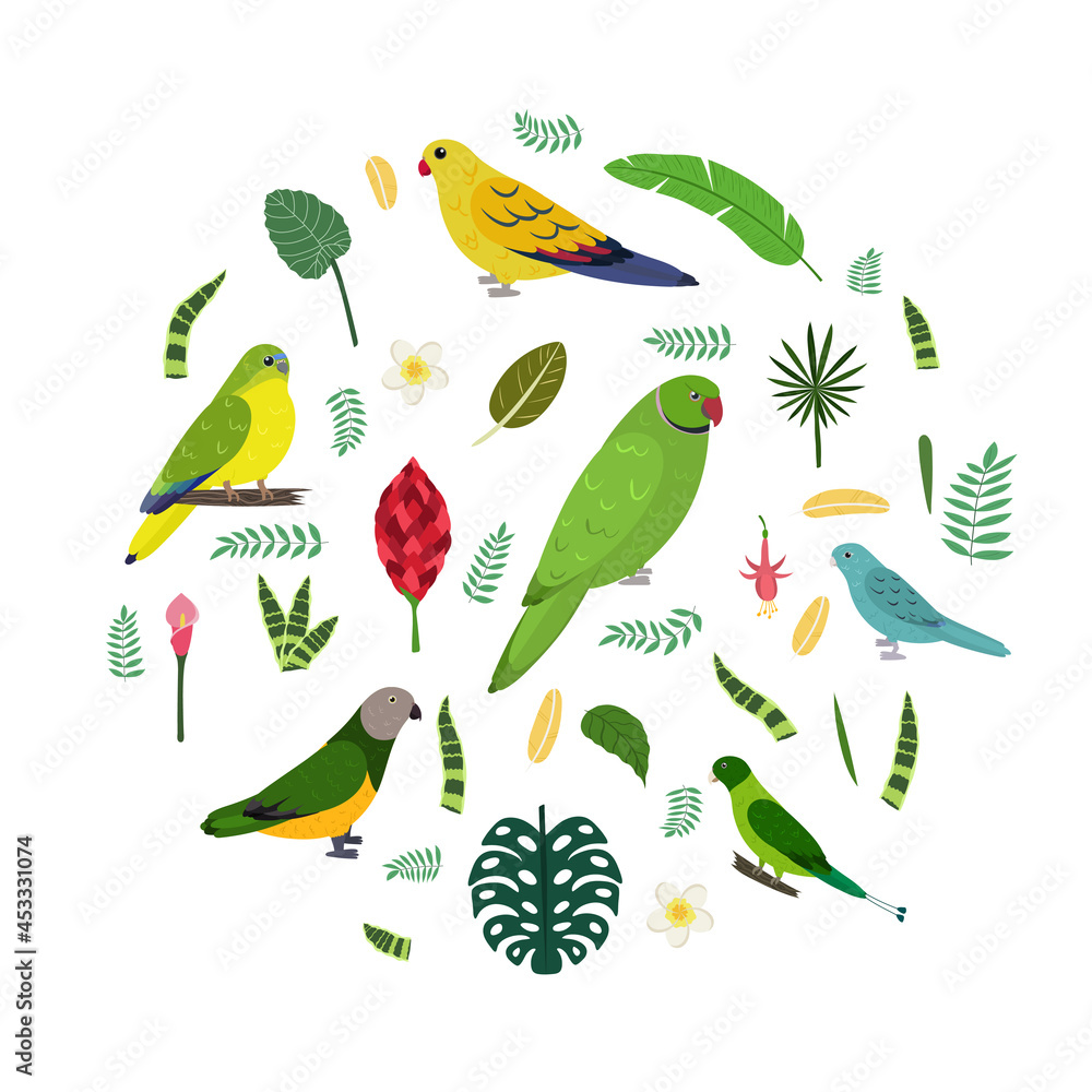 Design template with parrots in circle for kid print. Round composition of tropical birds Neophema, senegal, rose ringed, racket tail. Vector set of jungle life in cartoon style. Design template with parrots in circle for kid print. Round composition of tropical birds Neophema, senegal, rose ringed, racket tail. Vector set of jungle life in cartoon style.