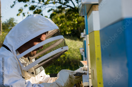Beekeeper working in the apiary, inspecting beehives, close up