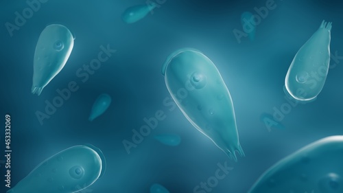 Naegleria, brain-eating amoeba 3d illustration