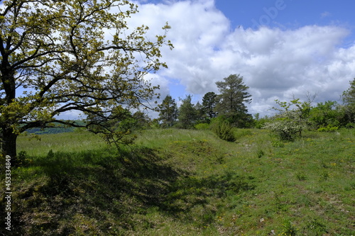 Landschaft im Naturschutzgebiet Grainberg-Kalbenstein bei Karlstadt, Landkreis Main-Spessart, Unterfranken, Bayern, Deutschland