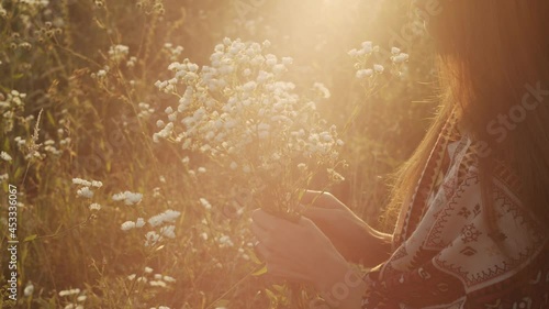 Young beautiful woman with loose hair and patterned shawl is picking chamomile flowers sitting in a field at sunset. Collecting flowers. Close-up view. 4K Slow motion. Summer. Kupala holidays.