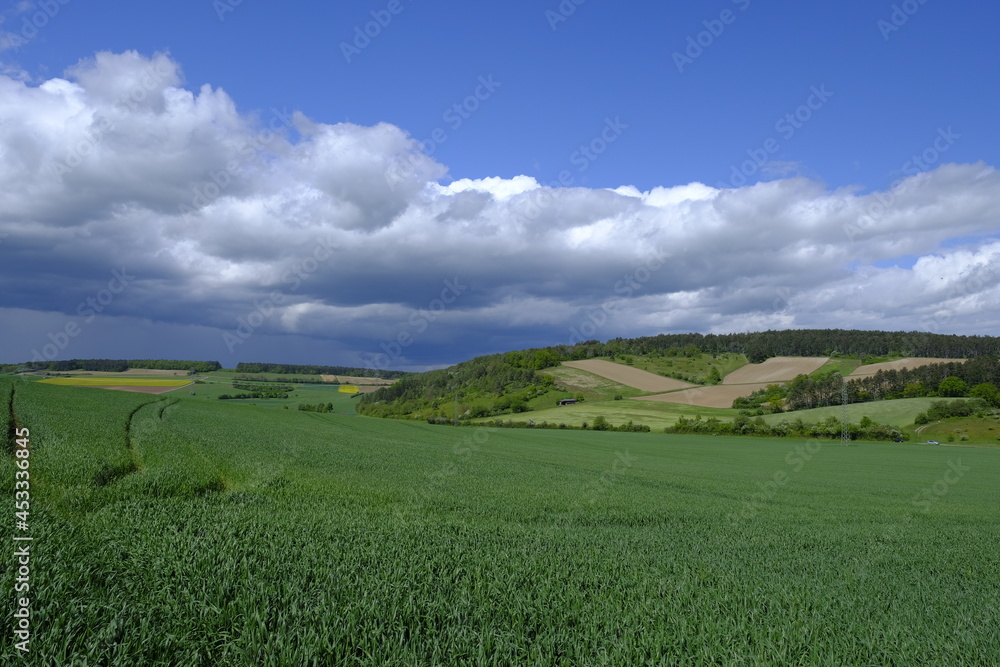 Landschaft zwischen dem Naturschutzgebiet Grainberg-Kalbenstein und dem Weinort  Gambach, Landkreis Main-Spessart, Unterfranken, Bayern, Deutschland