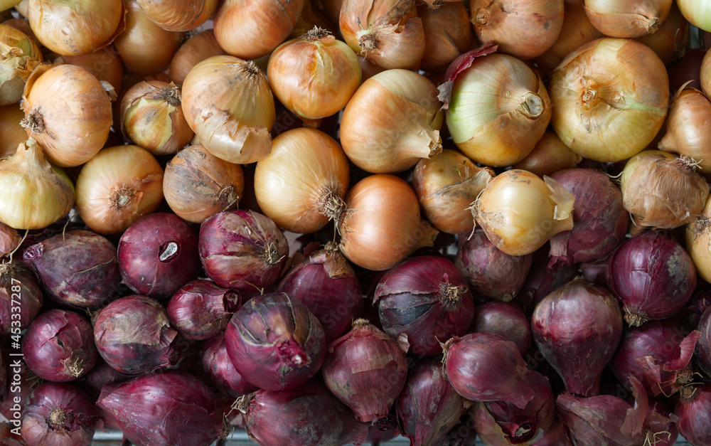 onion background onion background