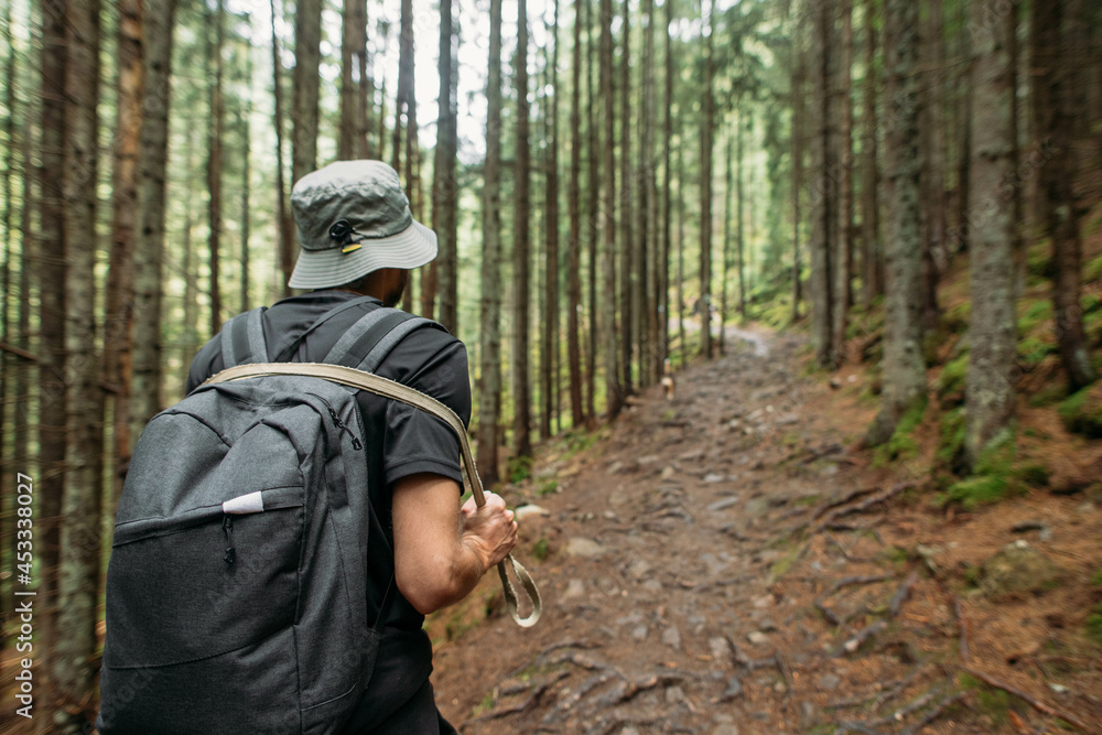 man hiking with a dog among the pine forest