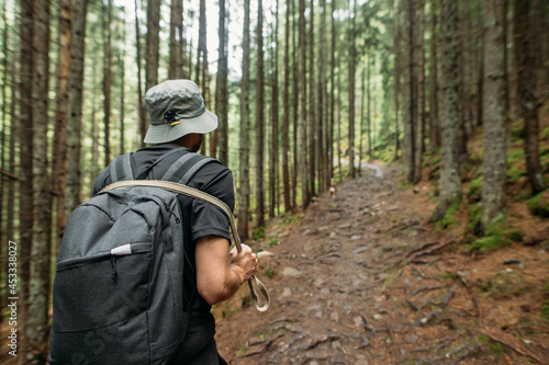 Wallpaper Mural man hiking with a dog among the pine forest Torontodigital.ca
