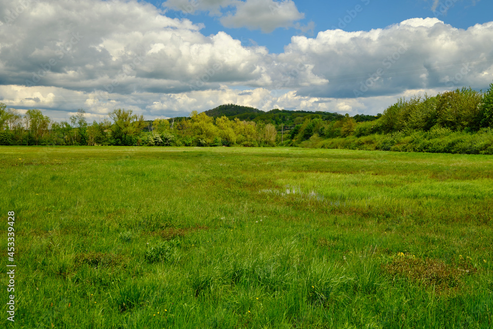 Niedermoor im Naturschutzgebiet Mainaue bei Augsfeld, Stadt Haßfurt, Landkreis Hassberge, Unterfranken, Franken, Bayern, Deutschland