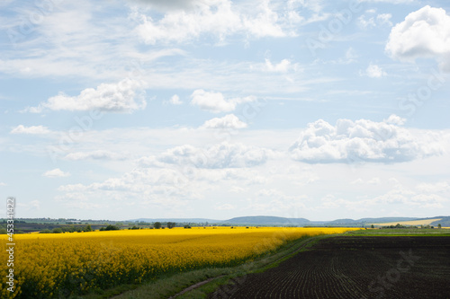 Yellow agriculture fields and clouds in the blue sky landscape