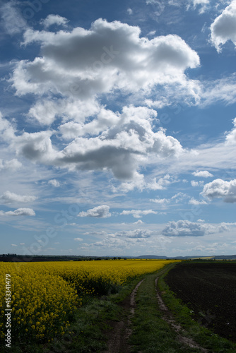 Cumulus clouds in the blue sky