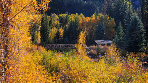 Colorful fall foliage in rural Colorado