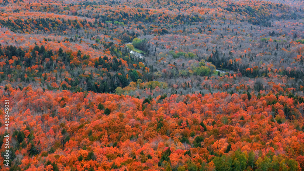 Aerial view of Black river national forest in Michigan upper peninsula during autumn time
