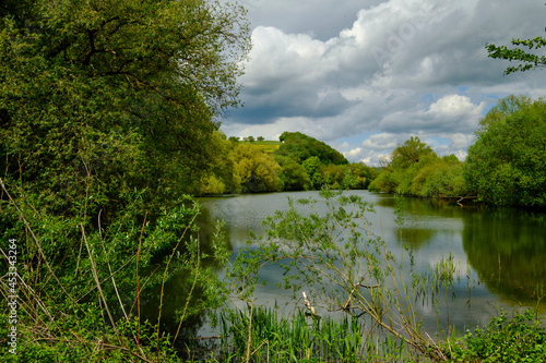 Vogelfreist  tte und Naturschutzgebiet Grauhreiherkolonie bei Dippach am Main  Landkreis Hassberge  Unterfranken  Franken  Bayern  Deutschland