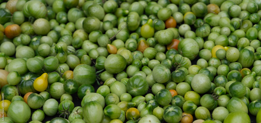 green tomatoes background