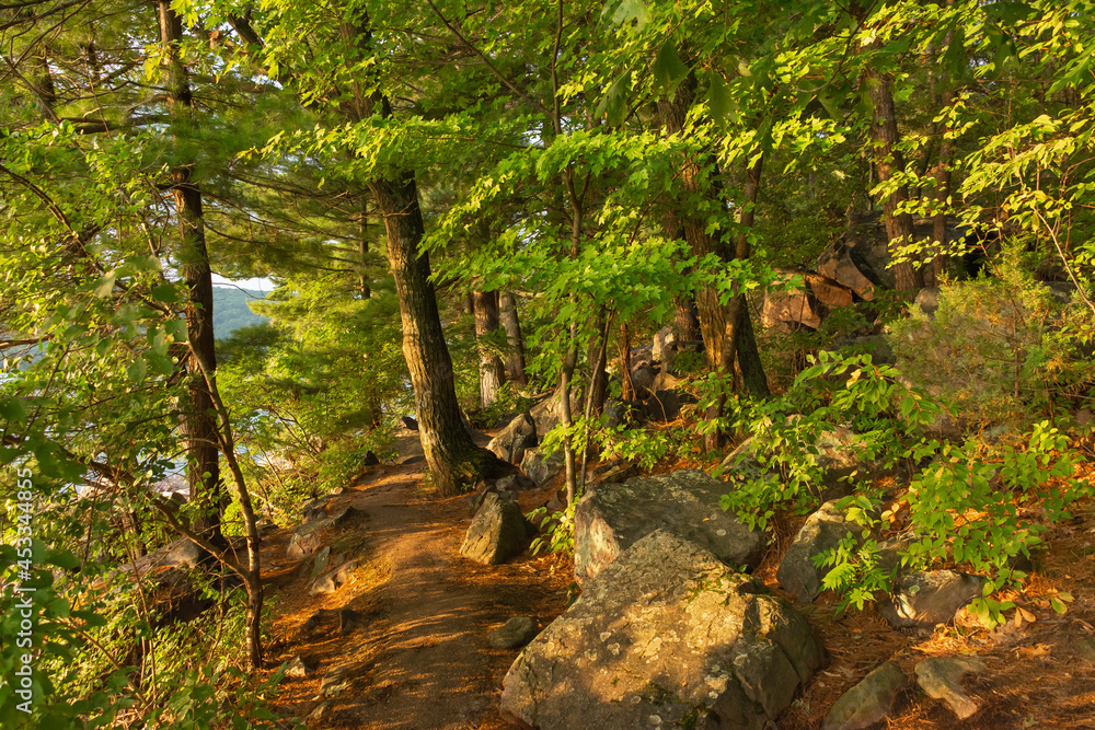 Fototapeta premium Hiking trail.