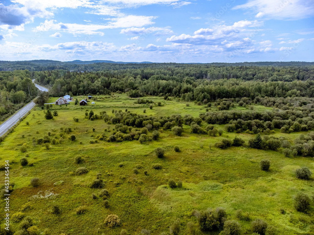 Obraz premium field forest