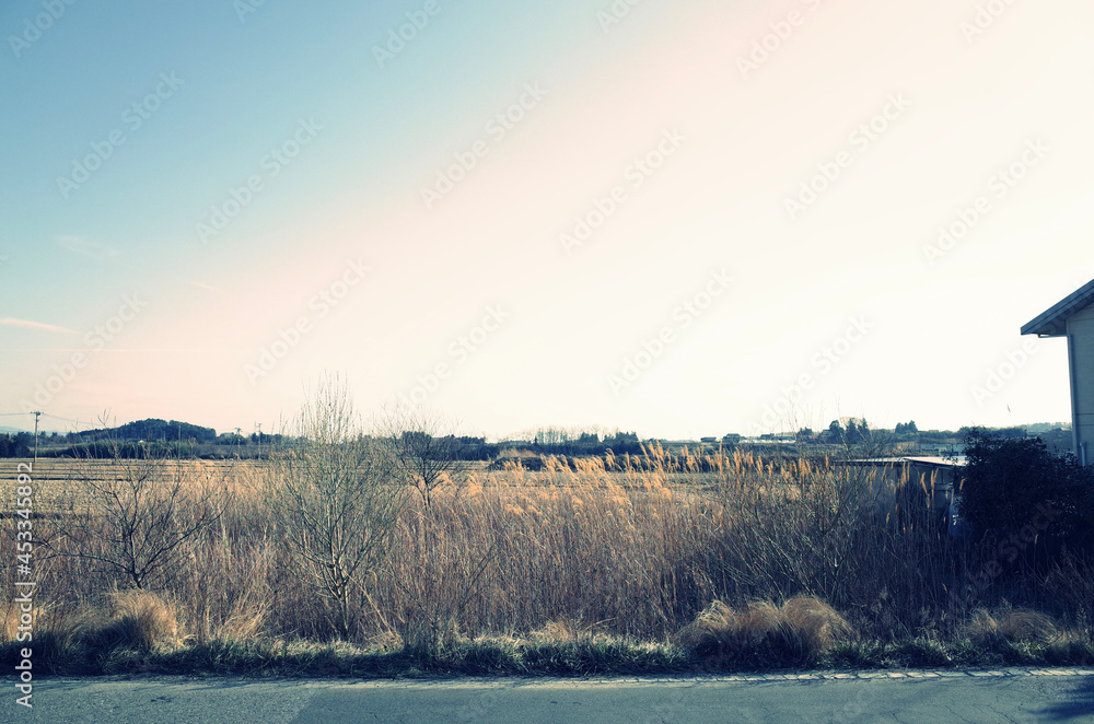 Fototapeta premium morning on the river