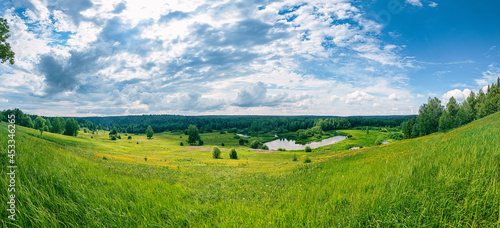 Summer panoramic landscape with wildflowers and trees on a wide meadow, a winding river and a forest in the distance, clouds in the blue sky.