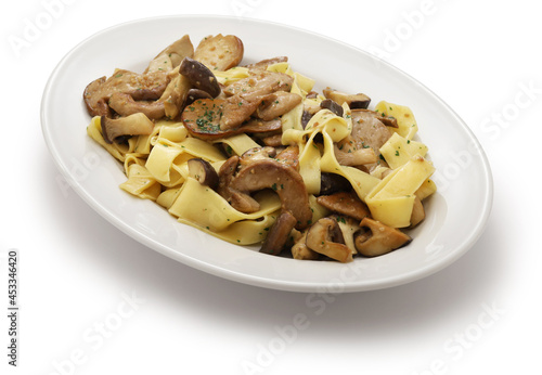 homemade pappardelle pasta with porcini mushrooms isolated on white background photo