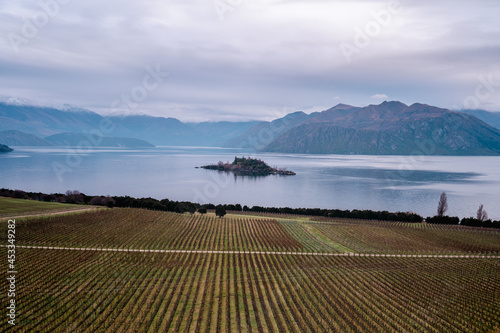 Sticker vineyard by the lake