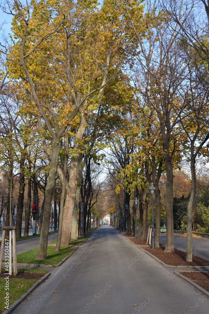 Fußweg an der Ringstraße in Wien, Österreich, im Herbst, 10.11.2015