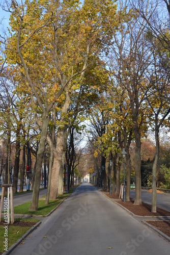 Fußweg an der Ringstraße in Wien, Österreich, im Herbst, 10.11.2015