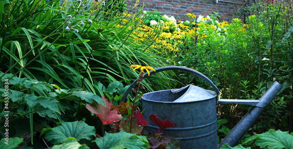 Wild herb and field flowers with iron watering can. English cottage style gardening picture. Gardening concept of a rural garden. good for insects like bees en butterflies with wooden natural ladder Wild herb and field flowers with iron watering can. English cottage style gardening picture. Gardening concept of a rural garden. good for insects like bees en butterflies with wooden natural ladder
