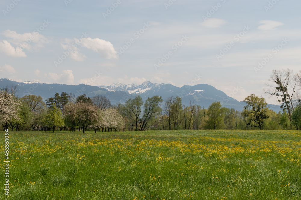 Oberriet Switzerland, April 28, 2021 Meadow and the alps in the background