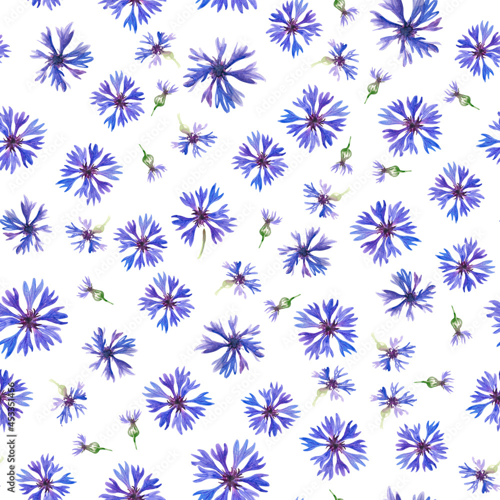 Cornflower flowers Cornflower flowers