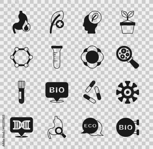 Set Bio healthy food, Bacteria, Microorganisms under magnifier, Human head with leaf inside, Test tube and flask, Molecule, Stomach heartburn and icon. Vector