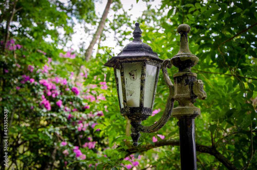 Luminária no meio do mato com flores e vegetação verde