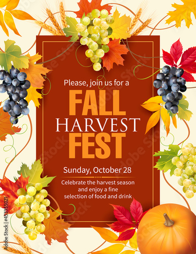 Harvest festival poster design with grapevine. Invitation for crop fest. Vector illustration.