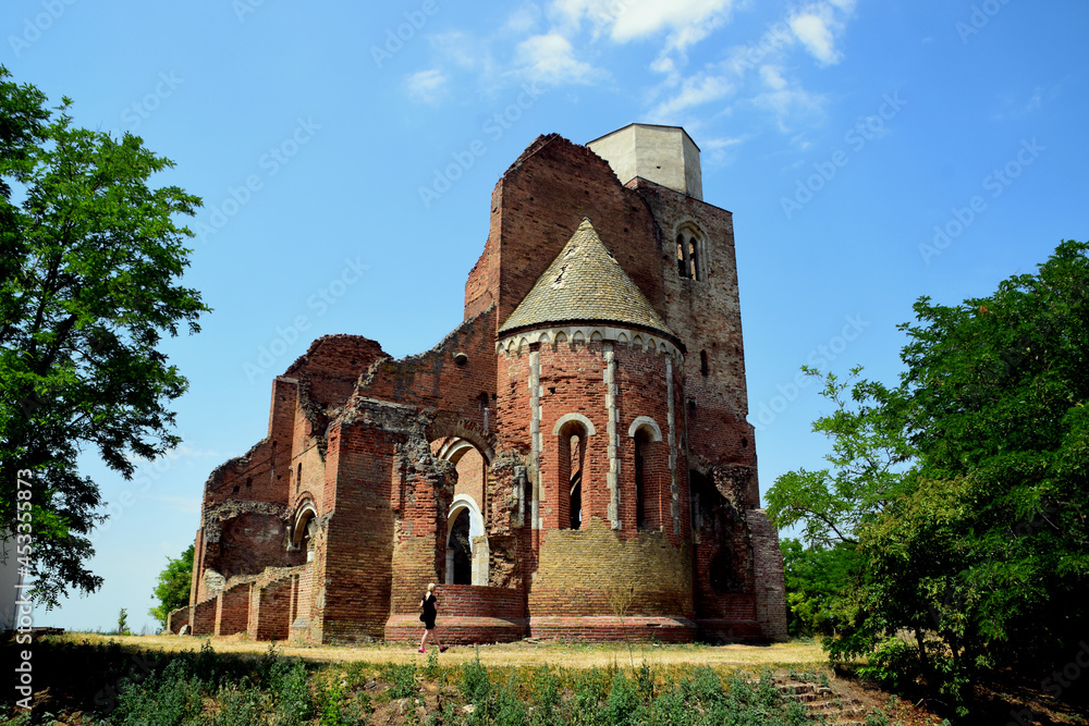 Obraz premium Araca Serbia Abandoned Monastery in the plain