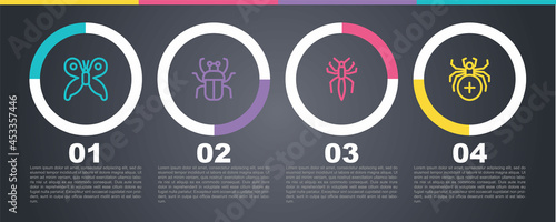 Set line Butterfly, Stink bug, Spider and . Business infographic template. Vector